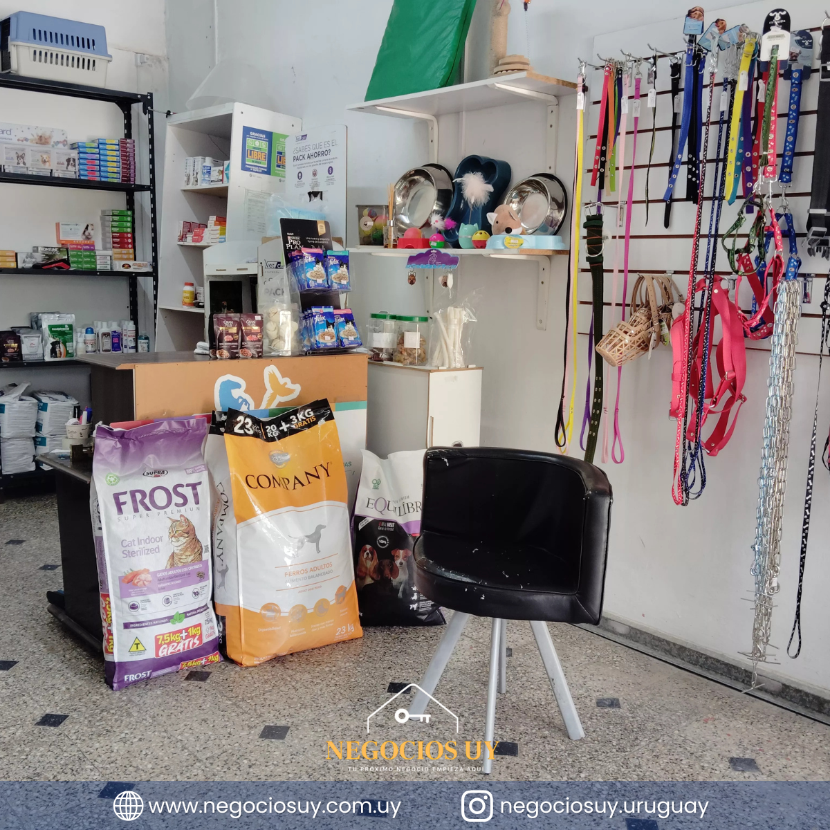 Veterinaria en venta – Playa Pascual, San José